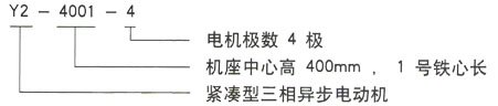 Y2系列三相異步電機技術參數——西安泰富西瑪電機(西安西瑪電機集團股份有限公司)官方網站 Y2系列三相異步電機技術參數——西安泰富西瑪電機(西安西瑪電機集團股份有限公司)官方網站