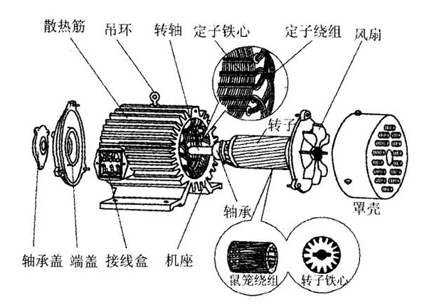 三相異步電動機的六種分類方法及具體分類。